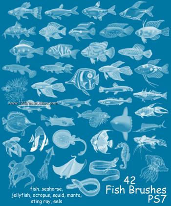 Fish
