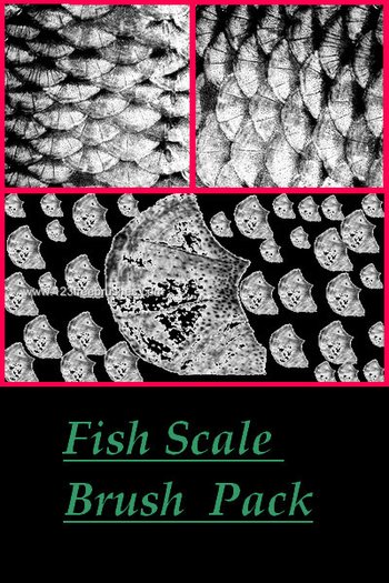 Fish Scale
