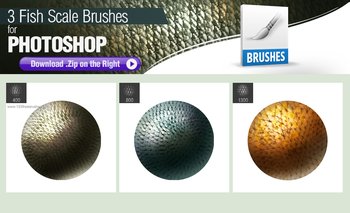 Fish Scales