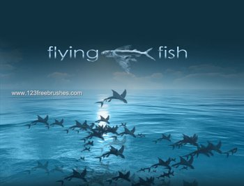 Flying Fish