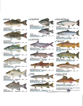 Freshwater Fish