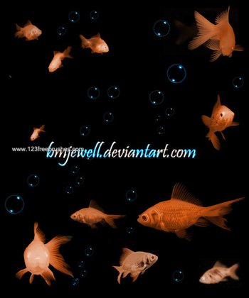 Goldfish