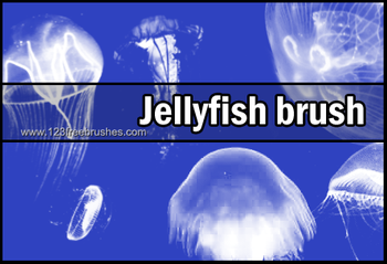 Jellyfish