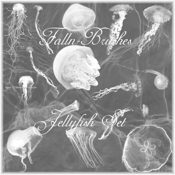 Jellyfish