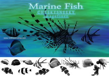 Marine Fish