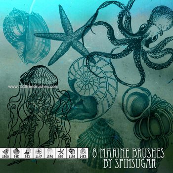 Marine Life
