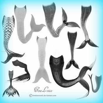 Mermaid Tail