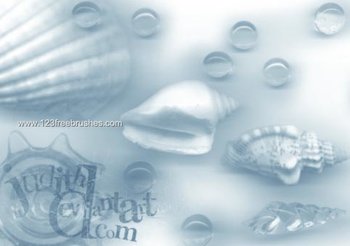 Mussel and Glass