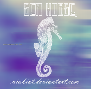 Seahorse
