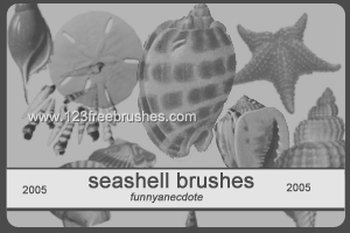 Seashell
