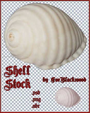 Shell