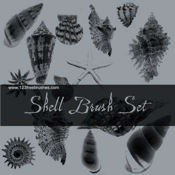 Shell