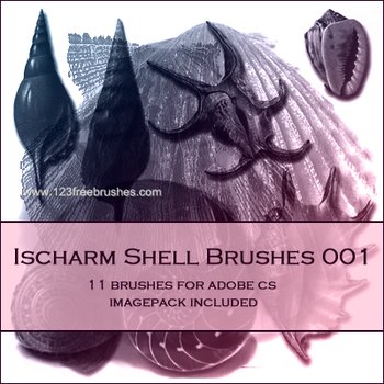 Shell
