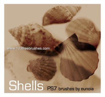Shells