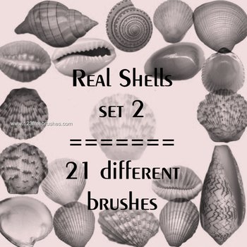 Shells
