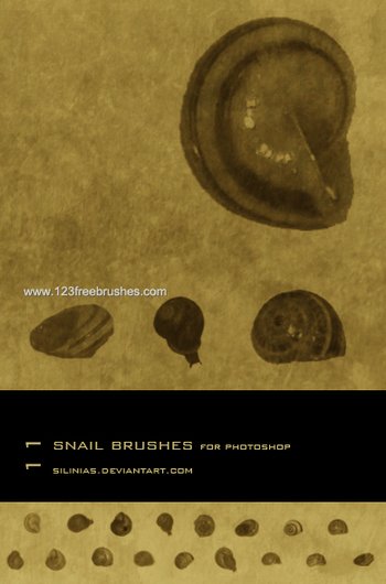 Snail