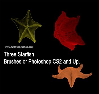 Starfish