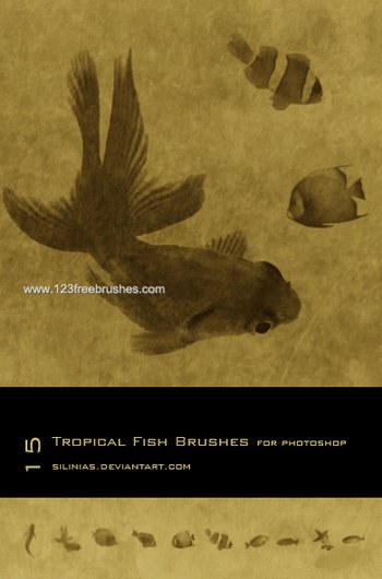 Tropical Fish