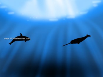 Whale Silhouettes
