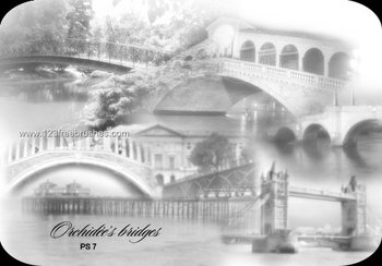 Bridges