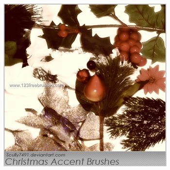 Christmas Accent