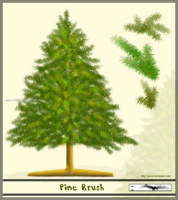 Christmas Pine Tree