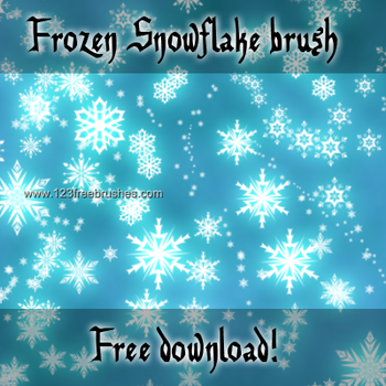 Frozen Snowflakes