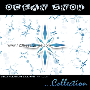 Ocean Snow