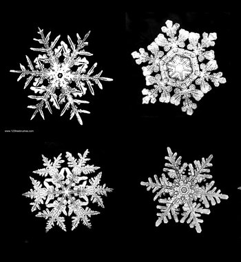 Snowflake