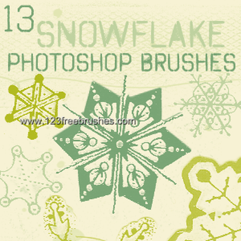 Snowflake