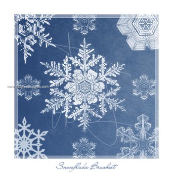 Snowflake