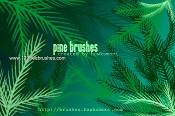 Xmas Pine Tree