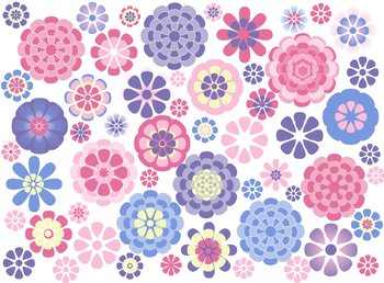 Colorful Flowers