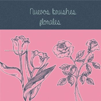 Drawn Flowers