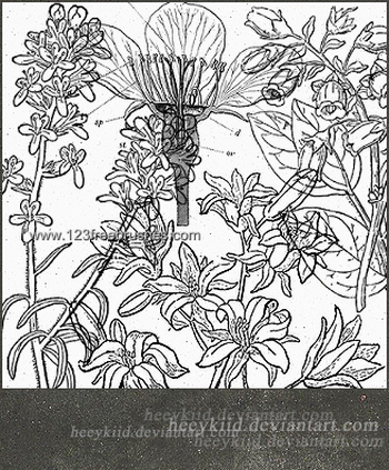 Floral