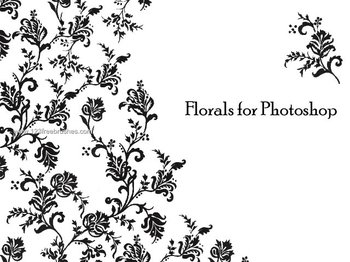 Floral
