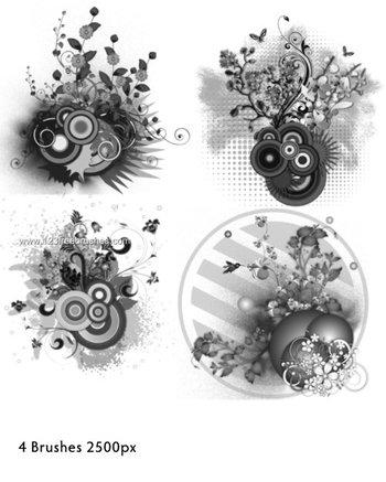 Floral and Circles