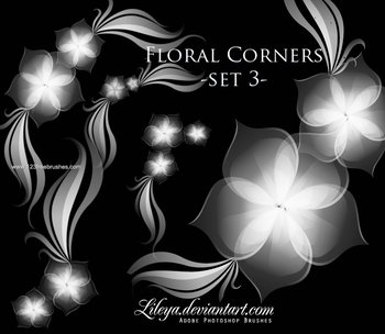 Floral Corners