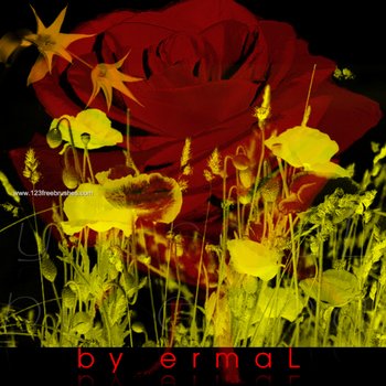 Floral Decorative