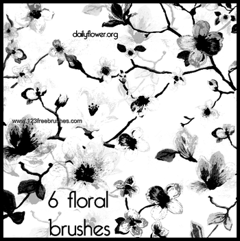Floral Flowers