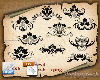 Floral Illustrations