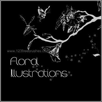 Floral Illustrations