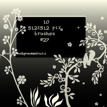 Floral Ornaments