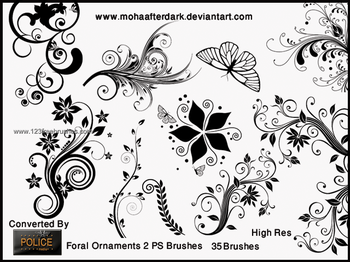 Floral Ornaments