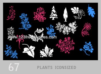 Floral Plant