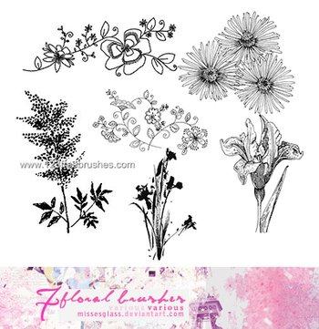 Flower Plant