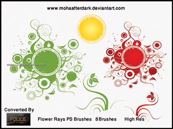 Flowers Rays