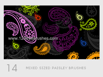 Paisley Designs