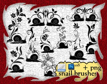 Snail Floral