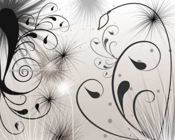 Swirls and Seeds